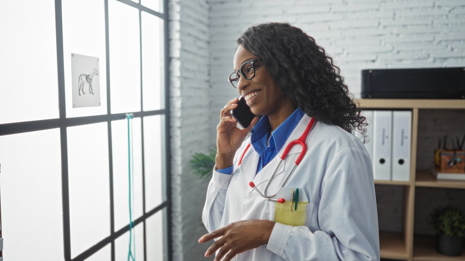 Veterinarian in a live cardiology consultation by video call